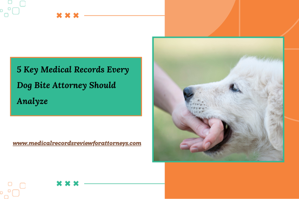 5 Key Medical Records Every Dog Bite Attorney Should Analyze