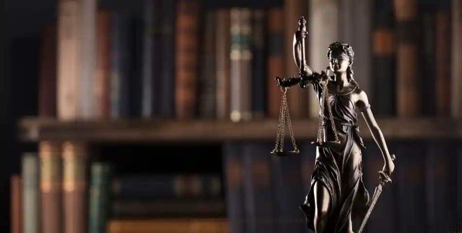 California Negligence Law