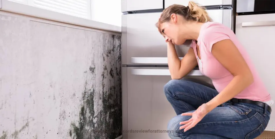 | Distressed woman crouching near mold-covered wall representing a case of Suing For Mold Exposure