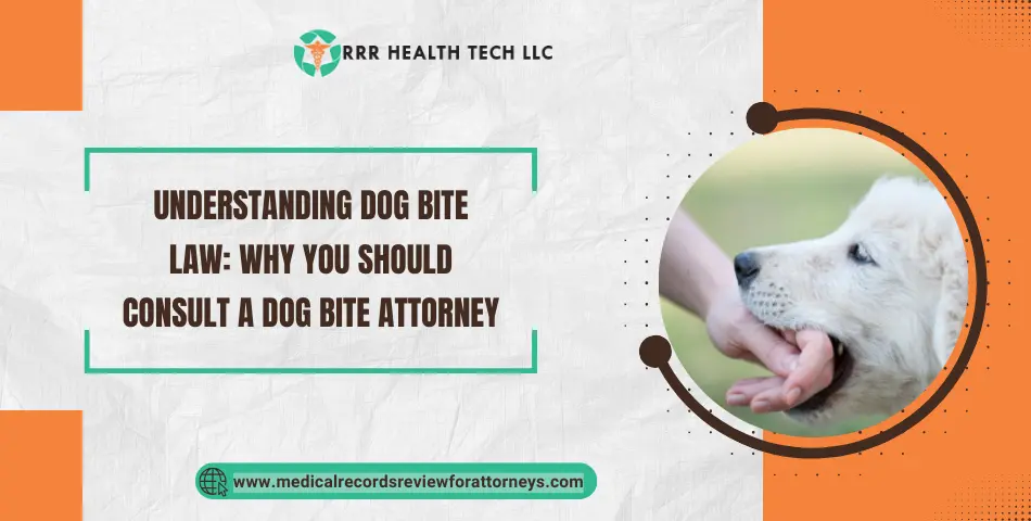 Understanding Dog Bite Law: Why You Should Consult a Dog Bite Attorney