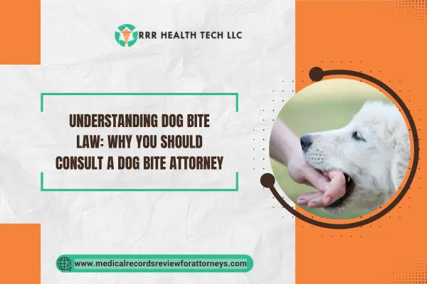 Understanding Dog Bite Law: Why You Should Consult a Dog Bite Attorney